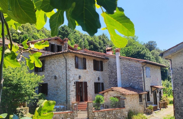 Country house, with fenced garden, pets allowed