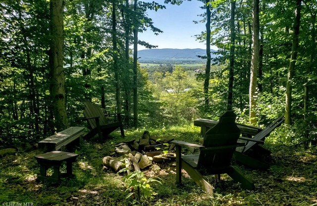 Country Mile - 43 Promised Land RoadnnCountry Mile - Hot Tub, Mountain View, Gas Fireplace, Short Drive to Two Ski Resorts & Two State Parks