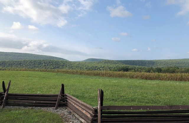 Cozy 2-bedroom cabin in tranquil Millmont with AC, free WiFi, fire pit, hammock