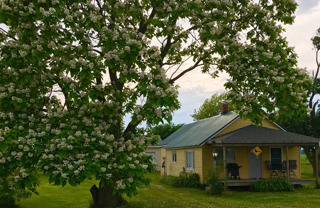 Cozy 2 bedroom cabin in country setting near Saginaw Bay & Fish Point.