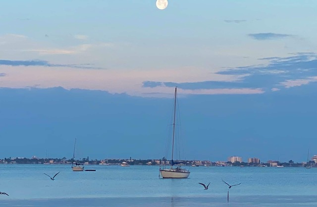 Cozy 2 bedroom condo steps away from the bay & a quick drive to St. Pete Beach.