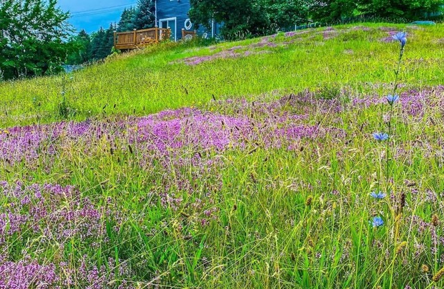Cozy Adirondack Loft Near Lake Champlain & George, Hiking and Historical Sites