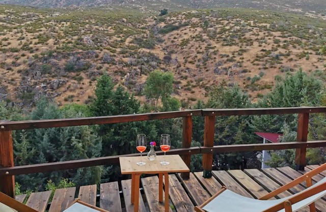Cozy and bright rural house. Terrace 22 mts