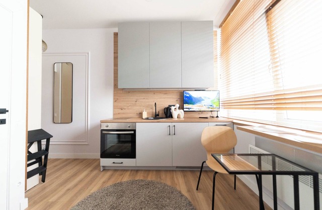 Cozy and Light Studio Apartment Near City Center