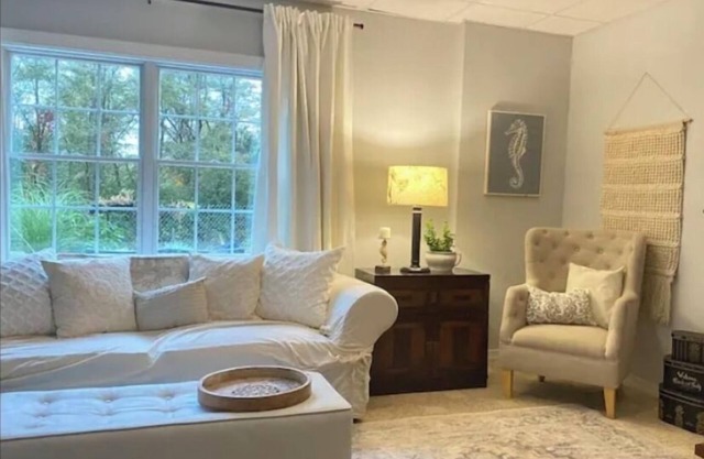 Cozy apartment attached to Pa Game-lands, birdwatching wildlife