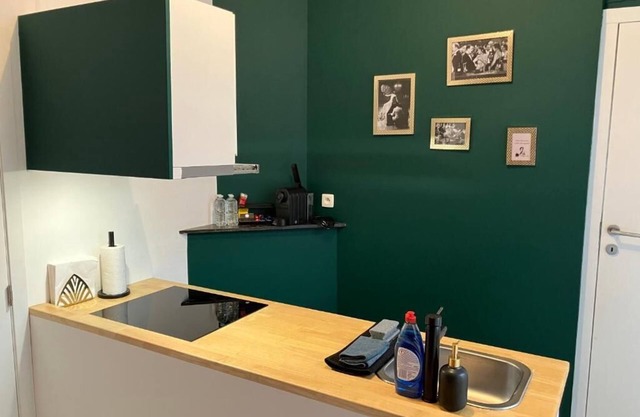 Cozy Apartment Centre Antwerp