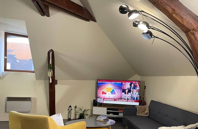 Cozy apartment in the city center
