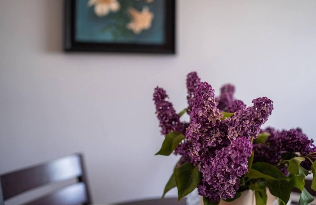 Cozy apartment in the city center of Kärdla