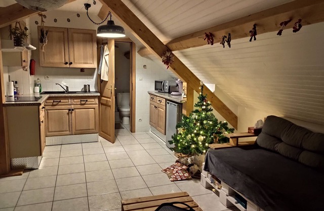 Cozy apartment with views of the mountains!