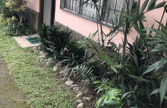 Cozy Apt. in the heart of Mata de Platano