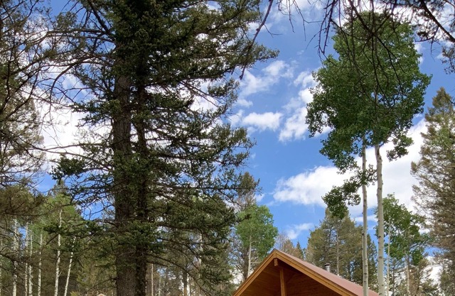 Cozy Arrowhead Cabin