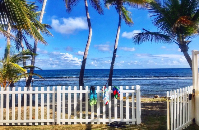 Cozy Beachfront, Private Pool & Stunning Ocean Views!