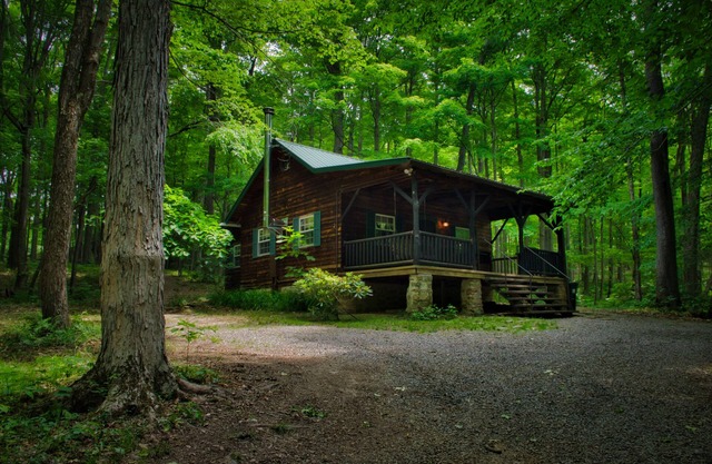 Cozy Cabin Among the Trees - Rustic Charm, Modern Comforts, 26 Secluded Acres
