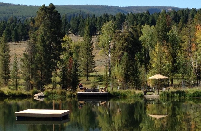 Cozy Cabin/House with Private Pond and 7KM of Skiing/Hiking Trails