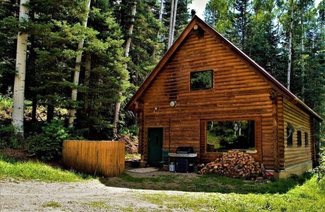 Cozy Cabin in the Woods at Columbine Lake just 1 Mile from Purgatory Ski Resort