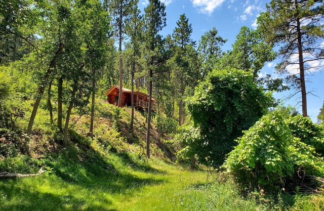 Cozy Cabin nestled in the Valley - 10 minutes to downtown Spearfish!