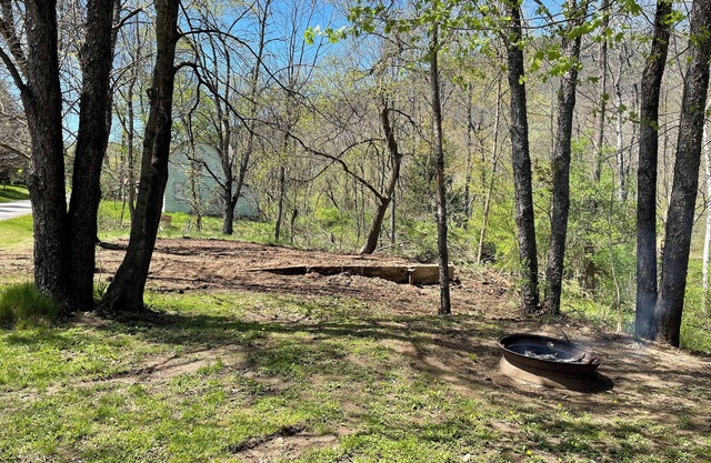 Cozy cabin on 4 wheeler road Close to Cherry Springs and Pa Grand Canyon
