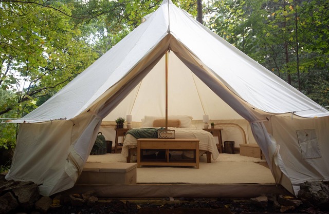 Cozy campsite with creek access!