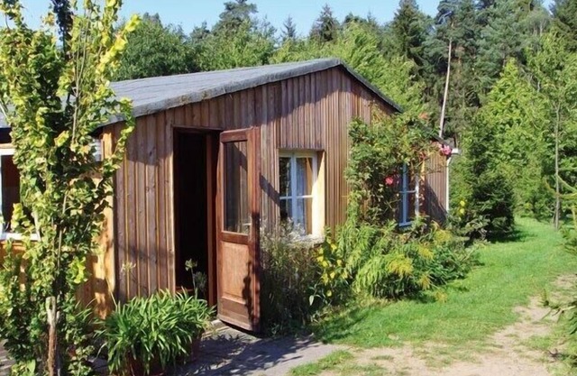 Cozy, family-friendly holiday home right on the forest