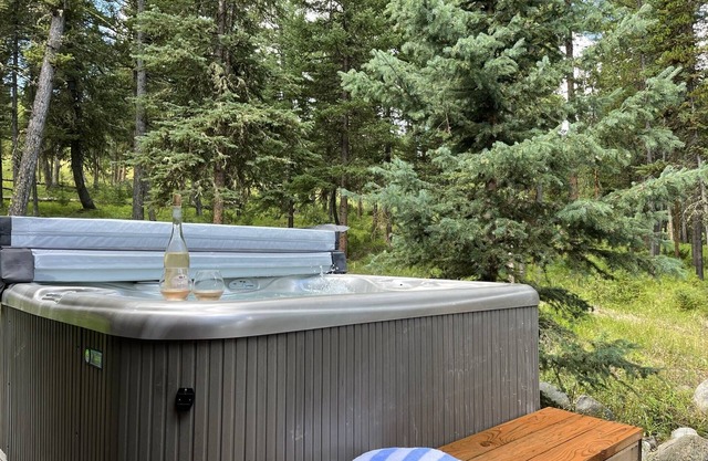 Cozy, historic cabin in the woods, X-ski in/out, minutes to shops & restaurants