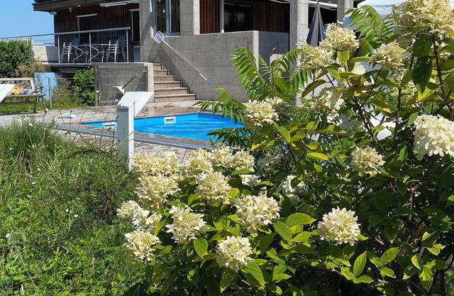 Cozy house in Seewalchen am Attersee