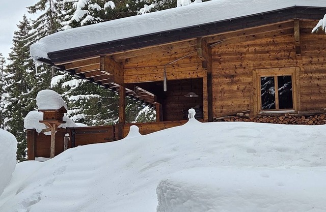 Cozy mountain hut on the Pillberg - pure nature & relaxation in the mountains