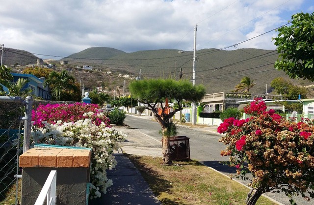 Cozy, Newly Renovated House In Harbour View