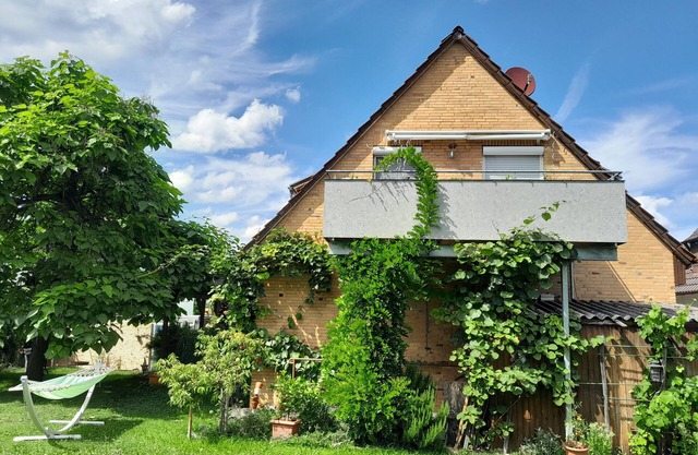 Cozy newly renovated vacation apartment 78sqm in a quiet location with the best view