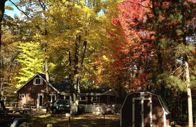 Cozy Northwoods Cabin