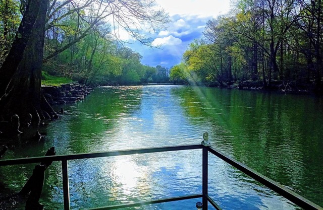 Cozy romantic cabin with 1 bedroom and WiFi, AC in peaceful PangburnnNO PETS n