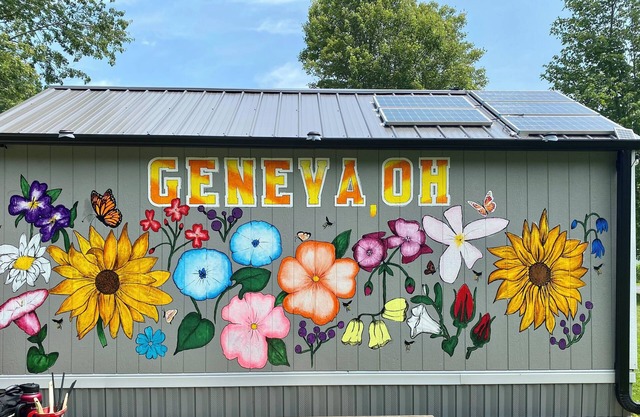 Cozy Shed-Teau in Geneva