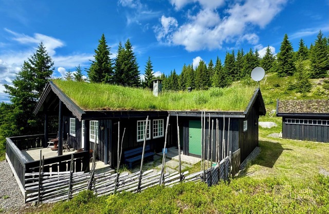 Cozy spacious cabin with sauna at Natrudstilen
