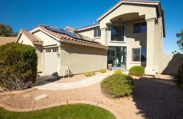 Cozy sun-kissed desert oasis