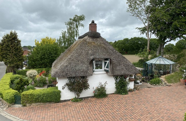 Cozy thatched roof house for sole use. Pet friendly!