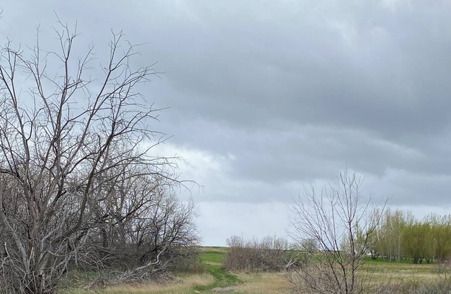 Creekside Camp at Prairie Skies