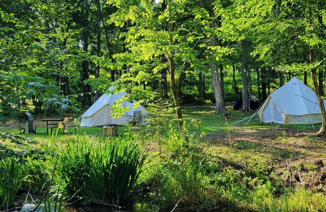 Creekside Group Glamp Site at Big Rock Creek!