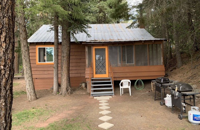Croll Cabins-Armstrong Library- #5 at Vallecito Lake, private lawn, great views!