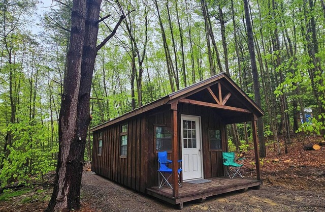Cub Cabin: Charming cabin with WiFi in Freeville - perfect for a cozy getaway