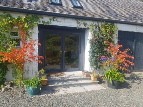 Cuil Steading