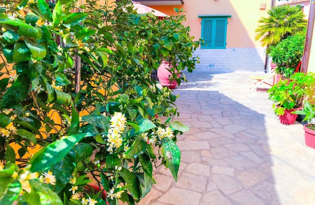 Cuore di Nozzano Castello