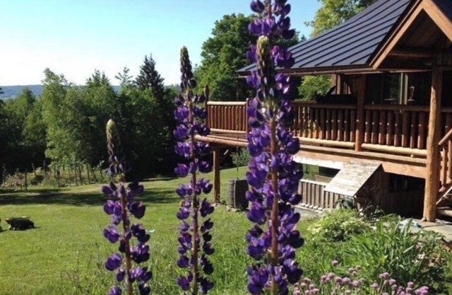 Custom Built Luxury Log Home, Best on property Trout Fishing!