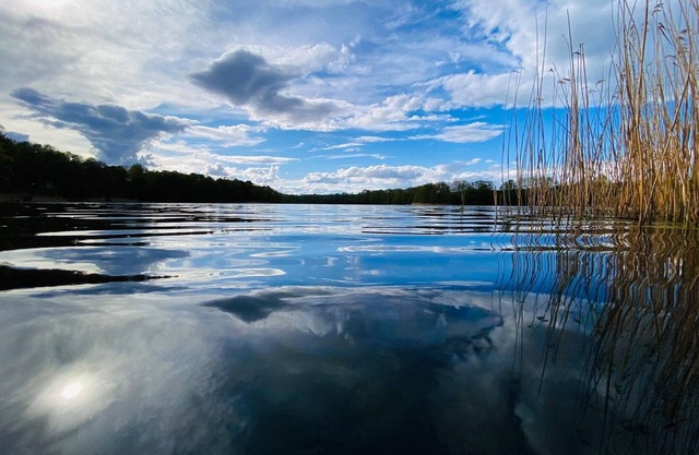Cute Bungalow on the lake, - to relax and unwind - idyllic location