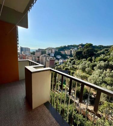 Daddy's house - maximum car length allowed 420cm