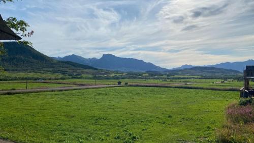 Dalens guest house vesterålen