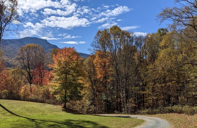 Darren's Place is a rustic secluded mountain home, with lots of space to roam.