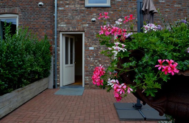 De Moolt Vakantiewoningen