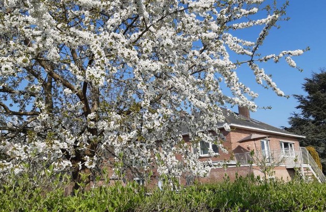 De tuin van Agatha