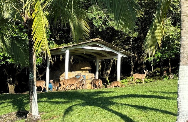 Deer Creek Estate near Juan Santamaria International Airport.