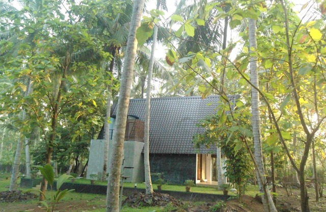 Deluxe bungalow with free airport pickup