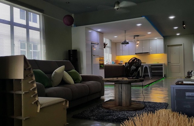 designer cozy spacious living hall and kitchen apartment